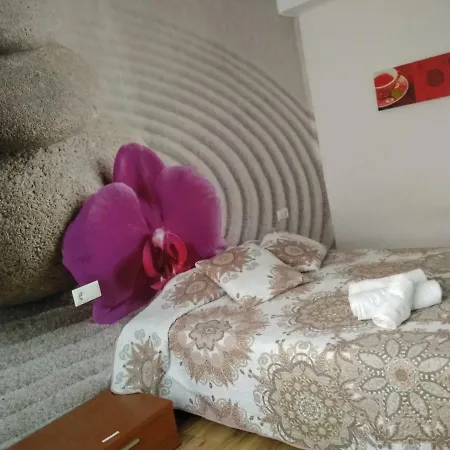 Zen House Homestay szállás