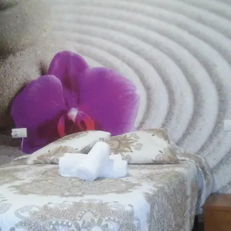 Zen House Valência